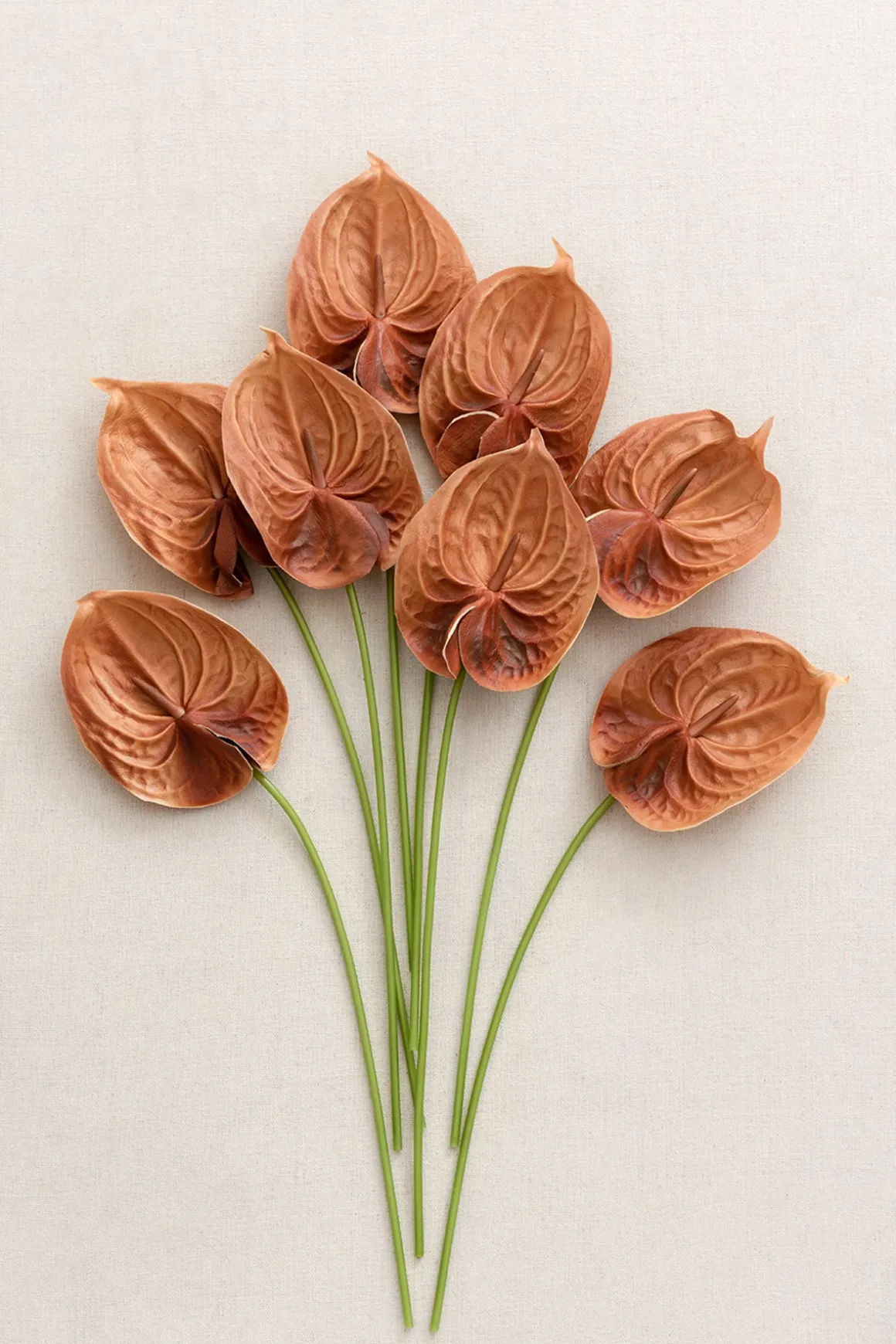 15" Anthurium Flowers with Stem