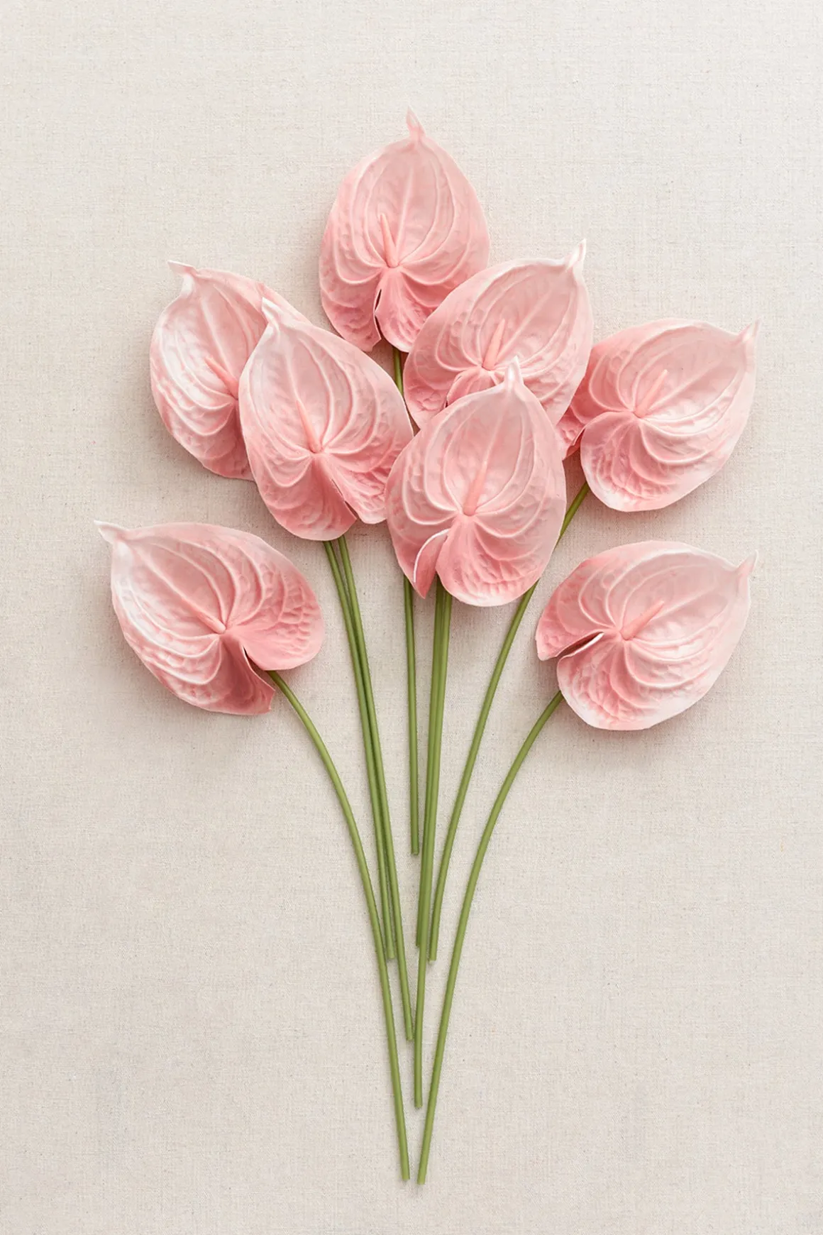 15" Anthurium Flowers with Stem
