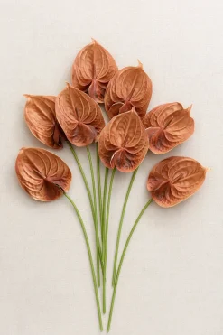 15" Anthurium Flowers with Stem - Burnt Orange (8pcs)
