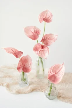 15" Anthurium Flowers with Stem - Shabby Pink ( 8pcs )