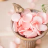 Bridal Flower Package in Blush & Cream | Clearance