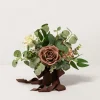 7" Bridesmaid Posy in Earth Brown & Sand Beige (Set of 6 )