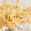 Butter Yellow Sweet Pea with Stem