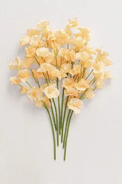 Butter Yellow Sweet Pea with Stem