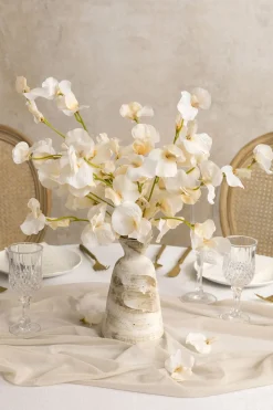 Cream Sweet Pea with Stem