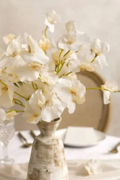 Cream Sweet Pea with Stem