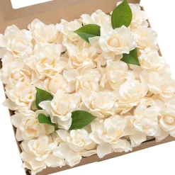 DIY Supporting Flower Boxes - Cream Gardenia