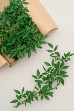DIY Supporting Flower Boxes in Garden Blush