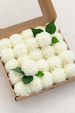 2.5" Foam Dahlia with Stem - Ivory(25pcs）