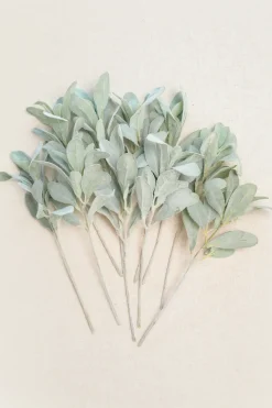 Greenery Branches for Christmas