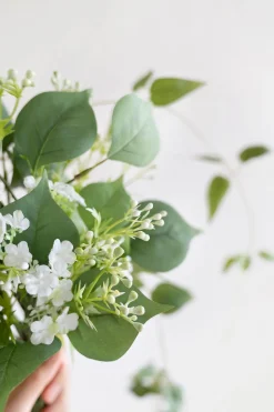 Greenery Combo Pack