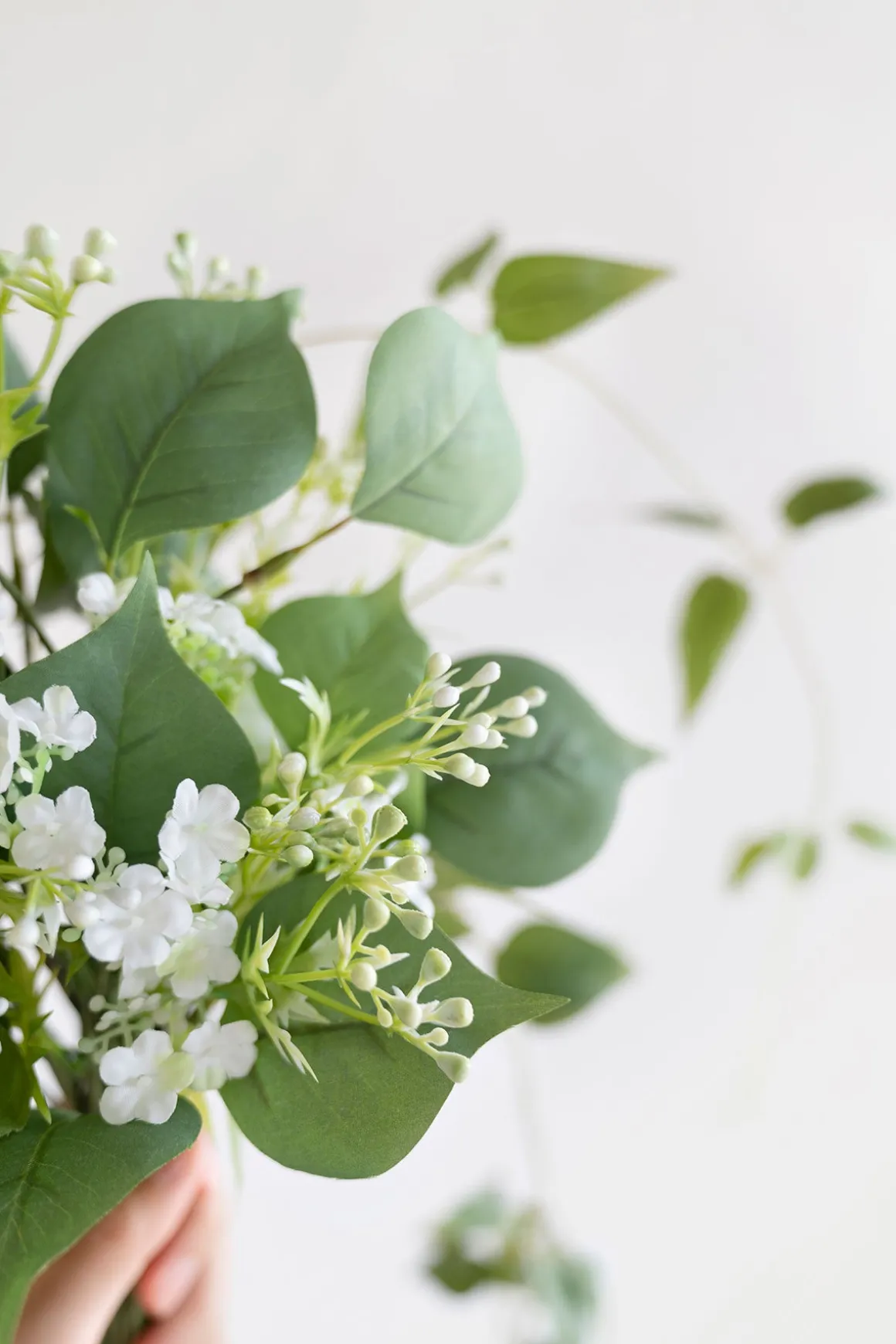 Greenery Combo Pack