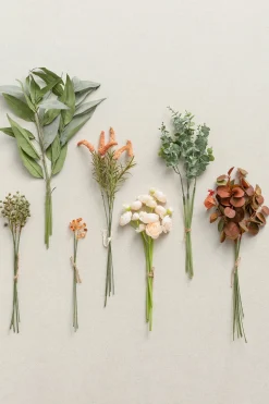 Greenery Combo Pack
