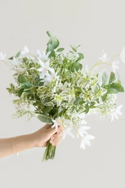 Greenery Combo Pack