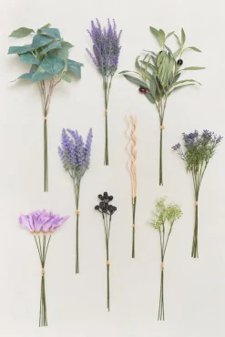 Greenery Combo Pack