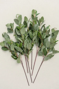33" Green Seeded Oval Eucalyptus - 6PCS