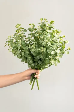 Gunni Eucalyptus | Clearance