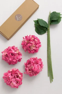 Hydrangeas with Stem - Berry Pink