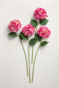Hydrangeas with Stem - Berry Pink