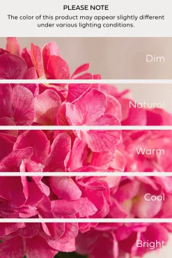 Hydrangeas with Stem - Berry Pink