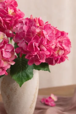 Hydrangeas with Stem - Berry Pink