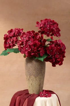 Hydrangeas with Stem - Black Baccara