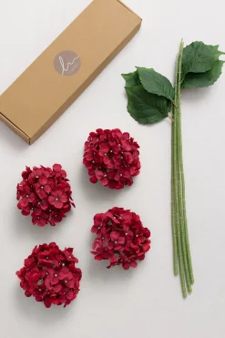 Hydrangeas with Stem - Black Baccara