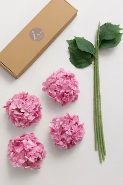 Hydrangeas with Stem - Blush-pink Heirloom