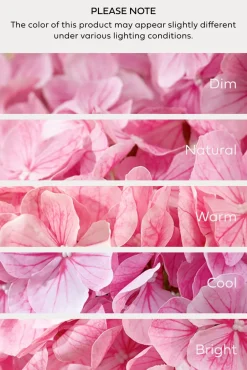 Hydrangeas with Stem - Blush-pink Heirloom