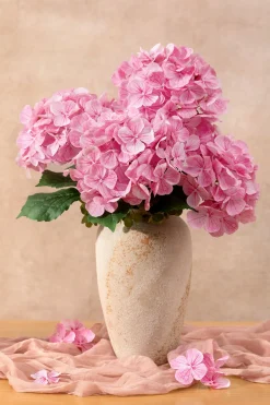 Hydrangeas with Stem - Blush-pink Heirloom