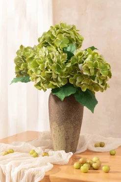 Hydrangeas with Stem - Kiwi Colada