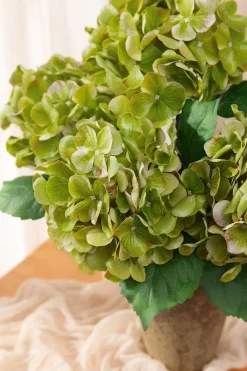 Hydrangeas with Stem - Kiwi Colada