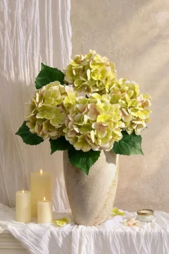 Hydrangeas with Stem - Light Green