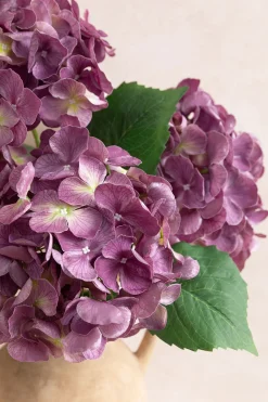 Hydrangeas with Stem - Purple