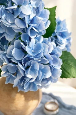 Hydrangeas with Stem - Sky Blue