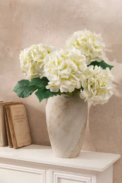 Hydrangeas with Stem - White