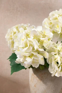 Hydrangeas with Stem - White