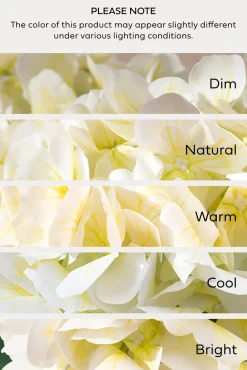 Hydrangeas with Stem - White