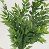 Italian Ruscus Spray