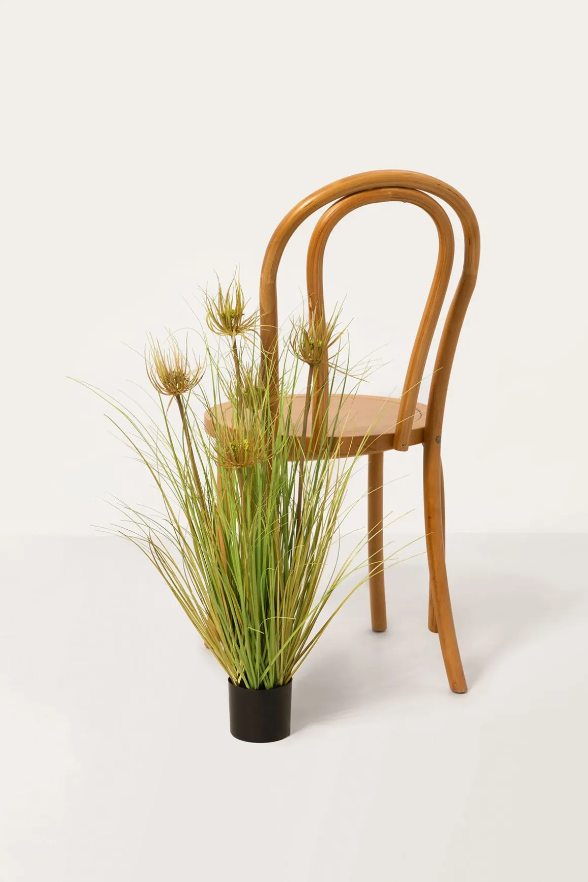 Lush Maiden Grass Meadow in Green | Clearance