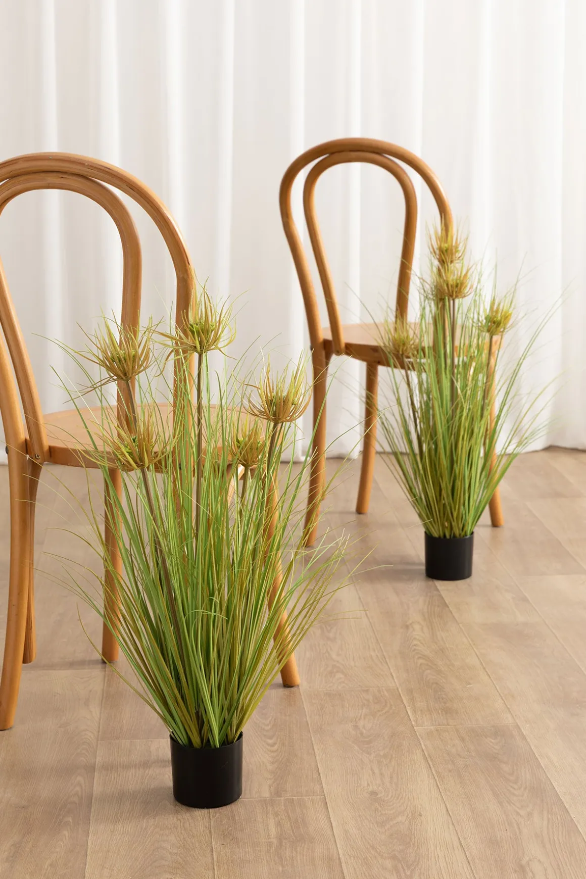Lush Maiden Grass Meadow in Green | Clearance