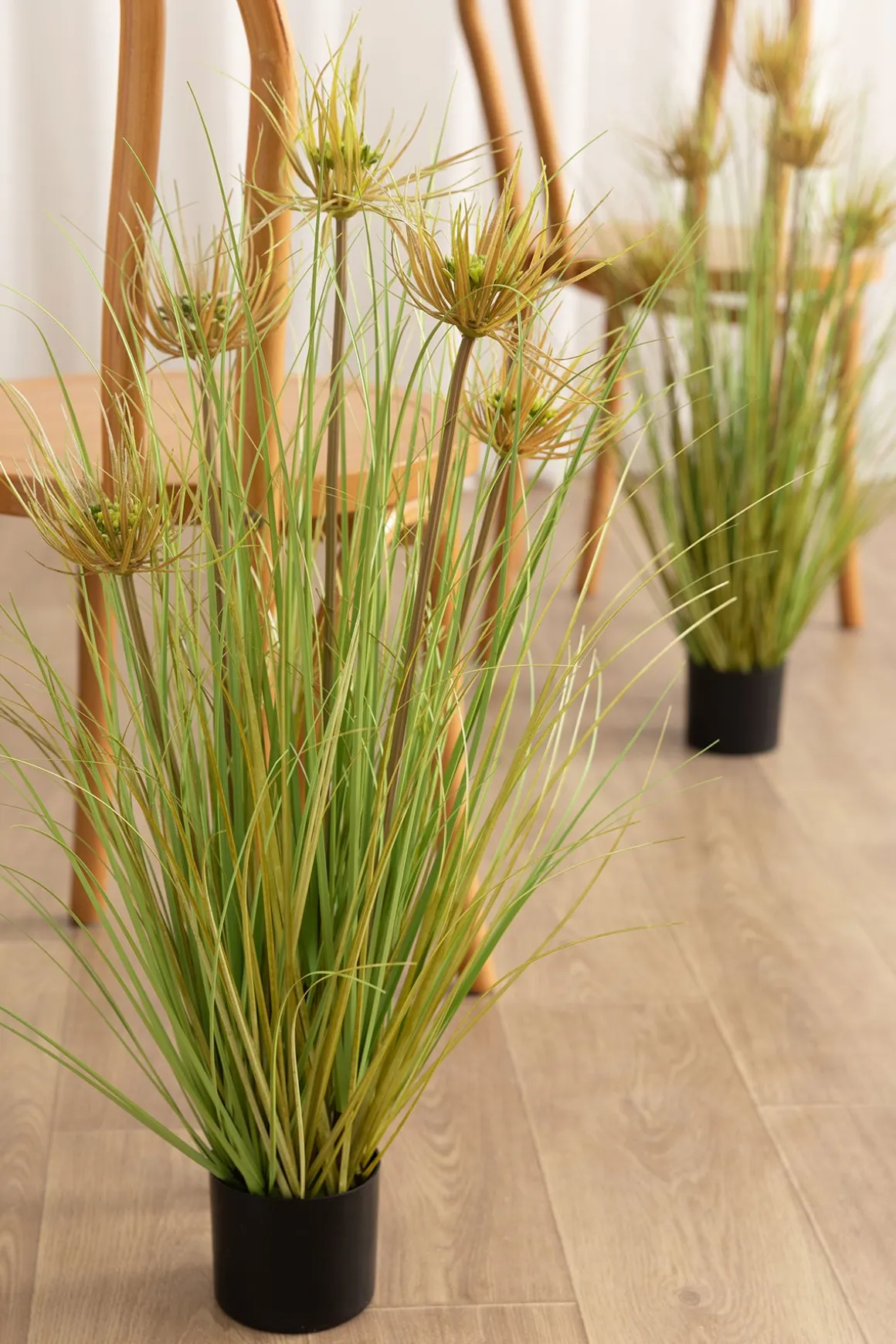 Lush Maiden Grass Meadow in Green | Clearance