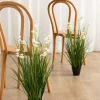 Lush Maiden Grass Meadow in White & Green
