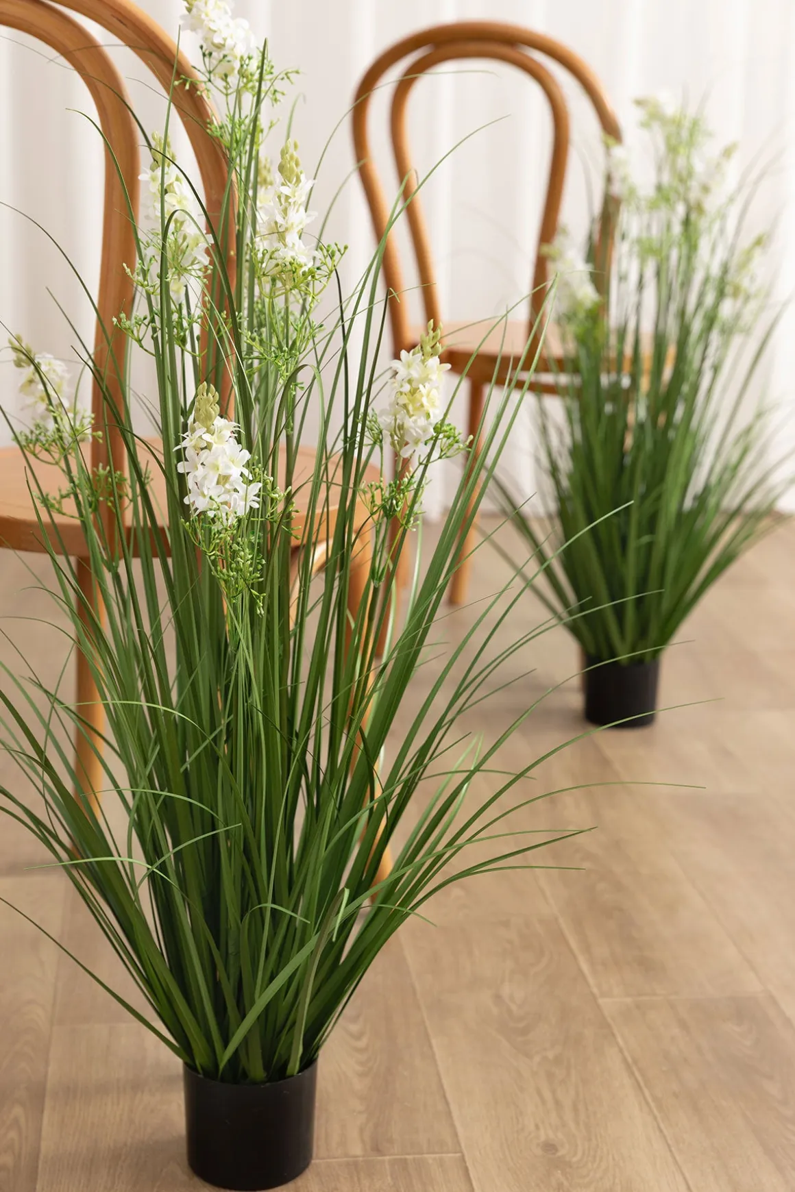 Lush Maiden Grass Meadow in White & Green