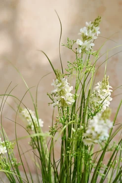 Lush Maiden Grass Meadow in White & Green