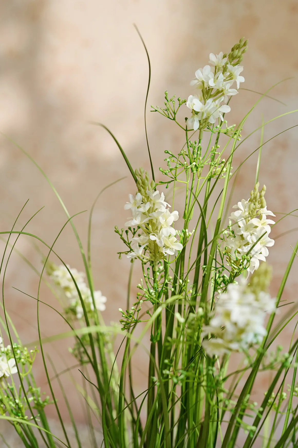 Lush Maiden Grass Meadow in White & Green