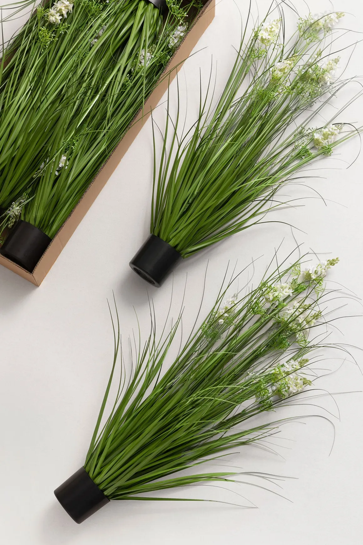 Lush Maiden Grass Meadow in White & Green