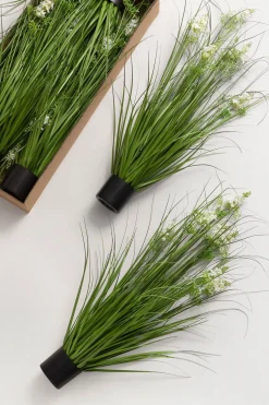 Maiden Grass in White & Green Delphinium (Set of 6) | Clearance