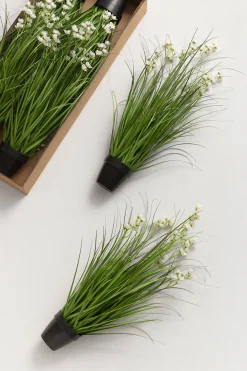 Maiden Grass Meadow in White & Green Hyacinth