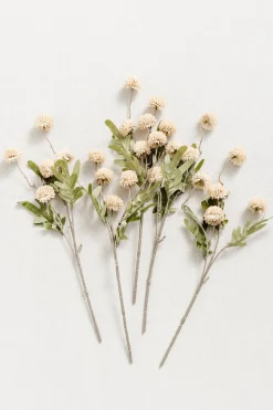 Pompon Mum with Stem
